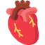 Spécialité : cardiologie