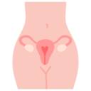 Spécialité : gynécologie