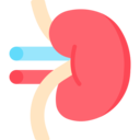 Spécialité : néphrologie